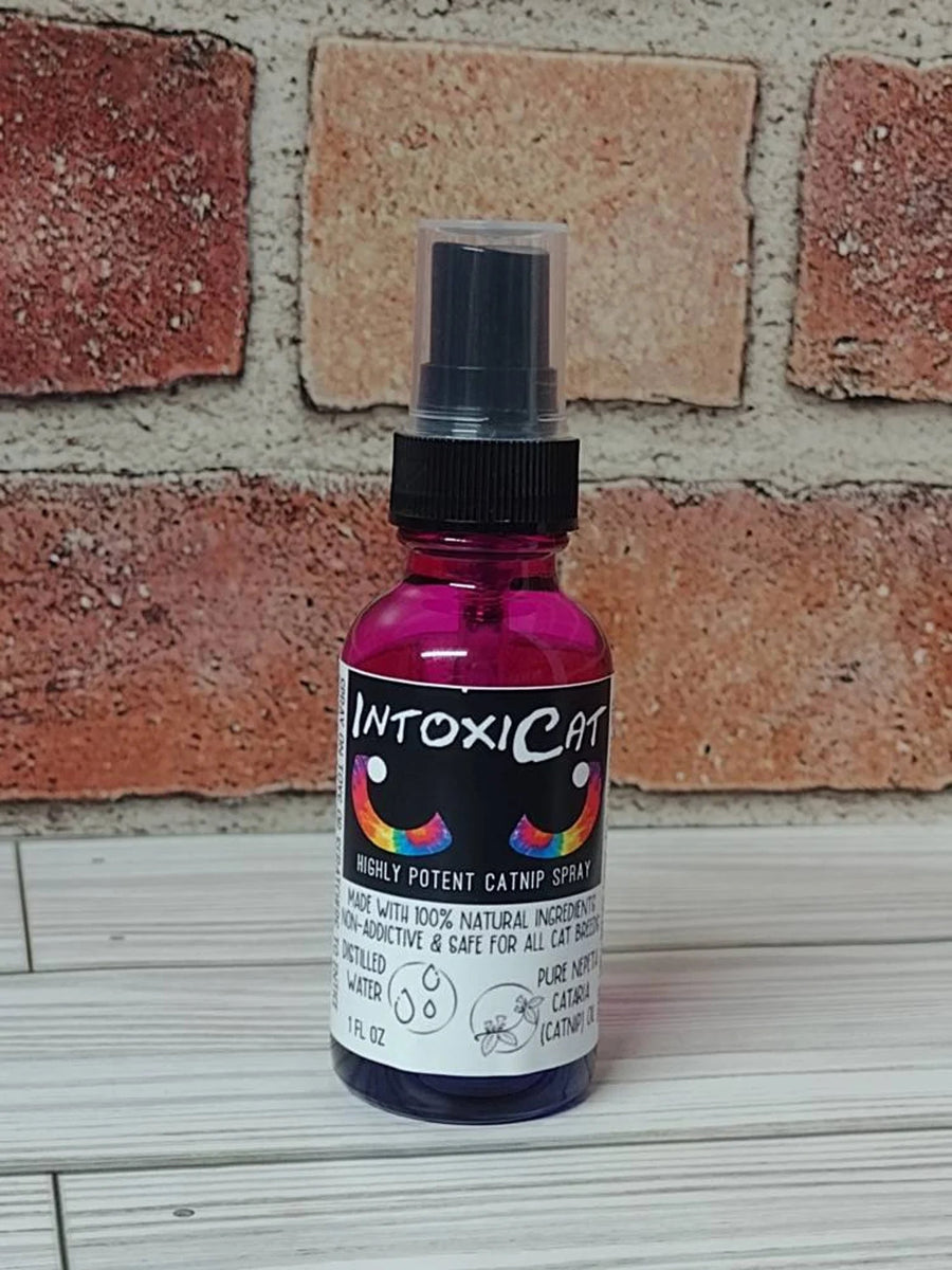 Catnip Spray Highly Potent All Natural With Pure Catnip 1 oz Glass, refillable spray bottle